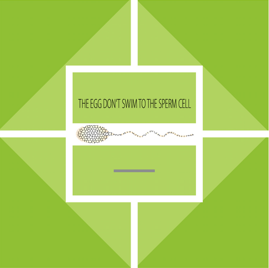 THE EGG DOES NOT SWIM TO THE SPERM CELL.