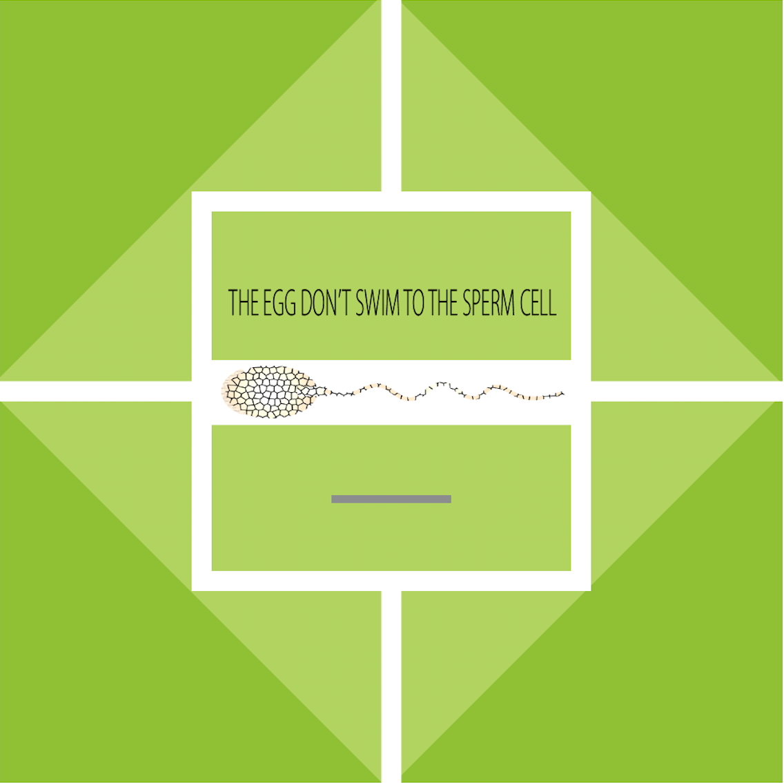 THE EGG DOES NOT SWIM TO THE SPERM CELL.